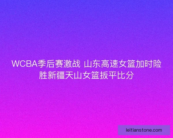 WCBA季后赛激战 山东高速女篮加时险胜新疆天山女篮扳平比分