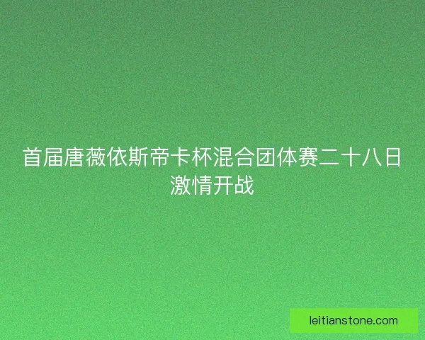 首届唐薇依斯帝卡杯混合团体赛二十八日激情开战