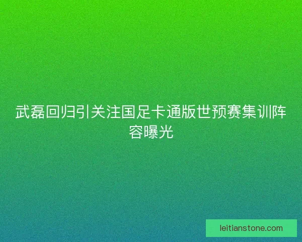 武磊回归引关注国足卡通版世预赛集训阵容曝光